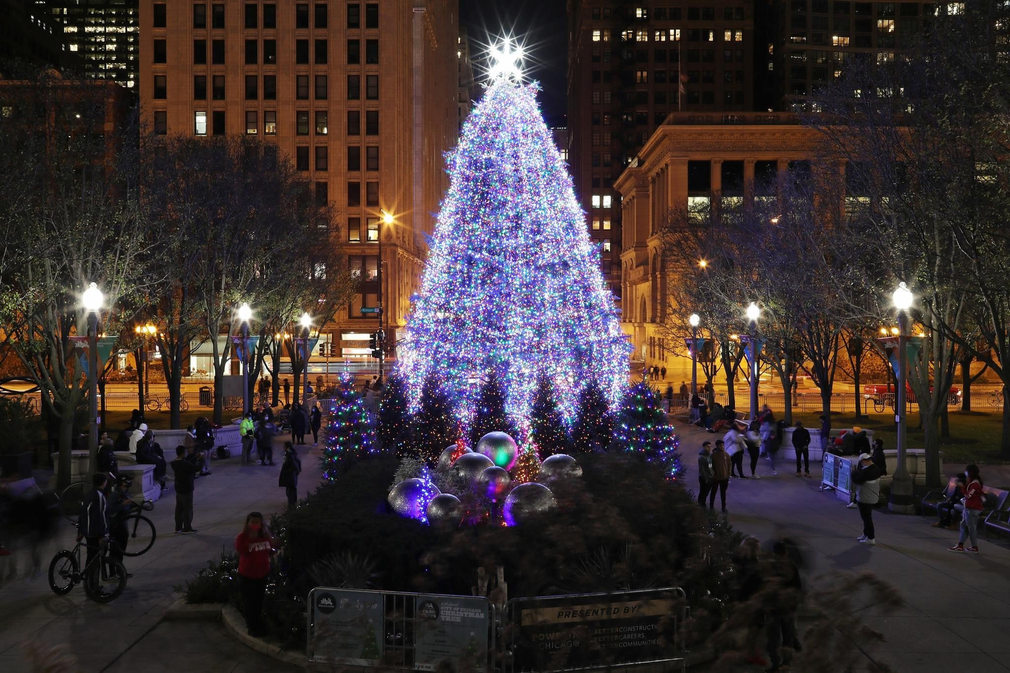 chicago christmas tree