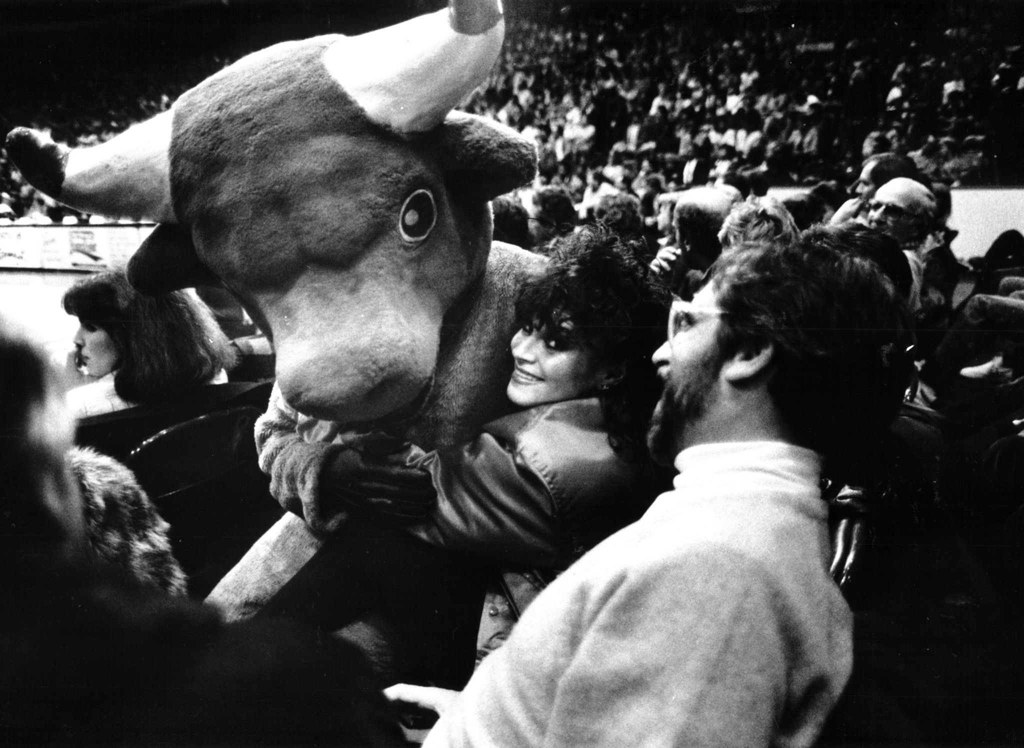 benny the bull 1969