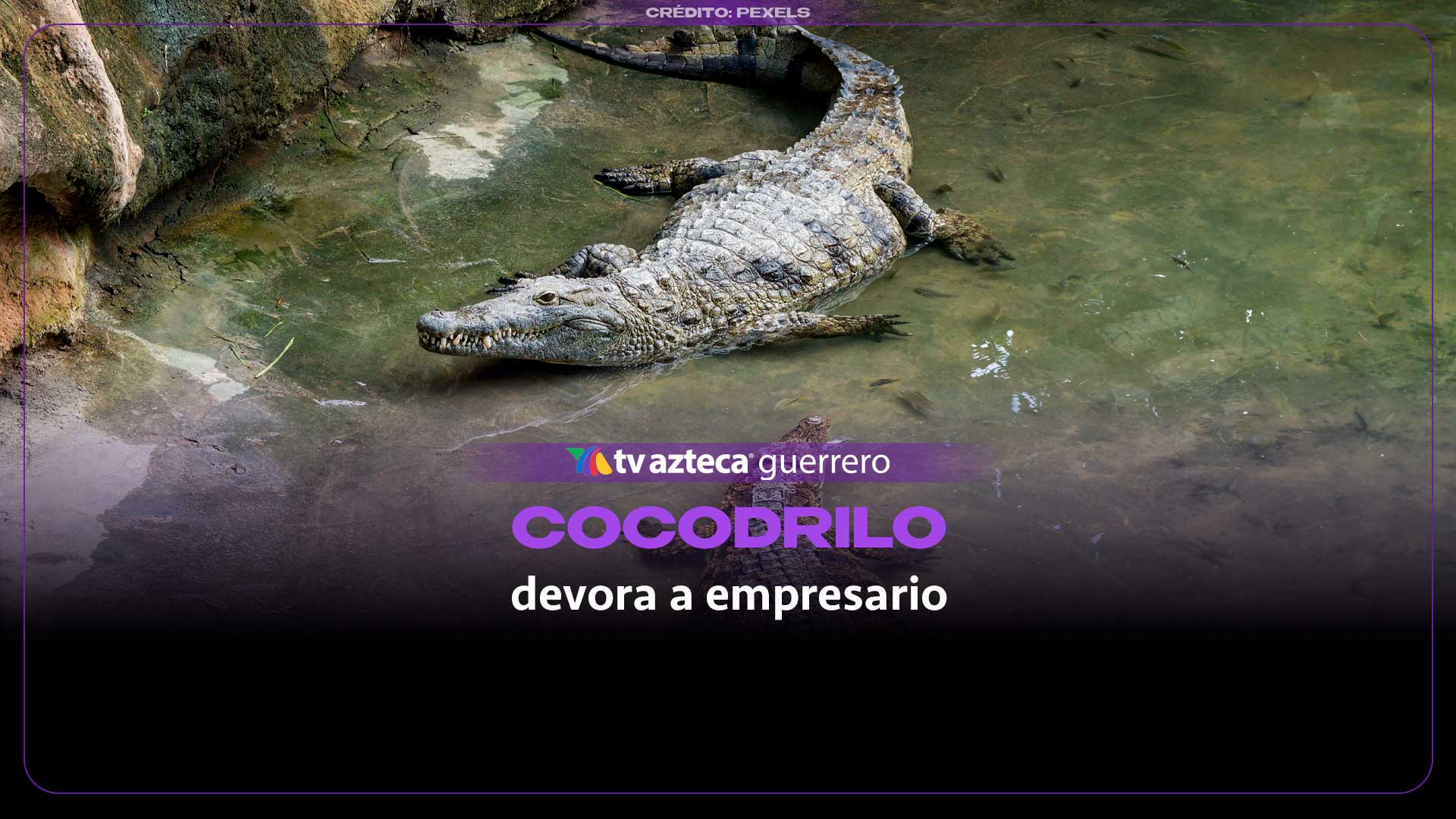Gigante COCODRILO devora a un empresario que se atascó en la creciente de un río; así encontraron sus restos