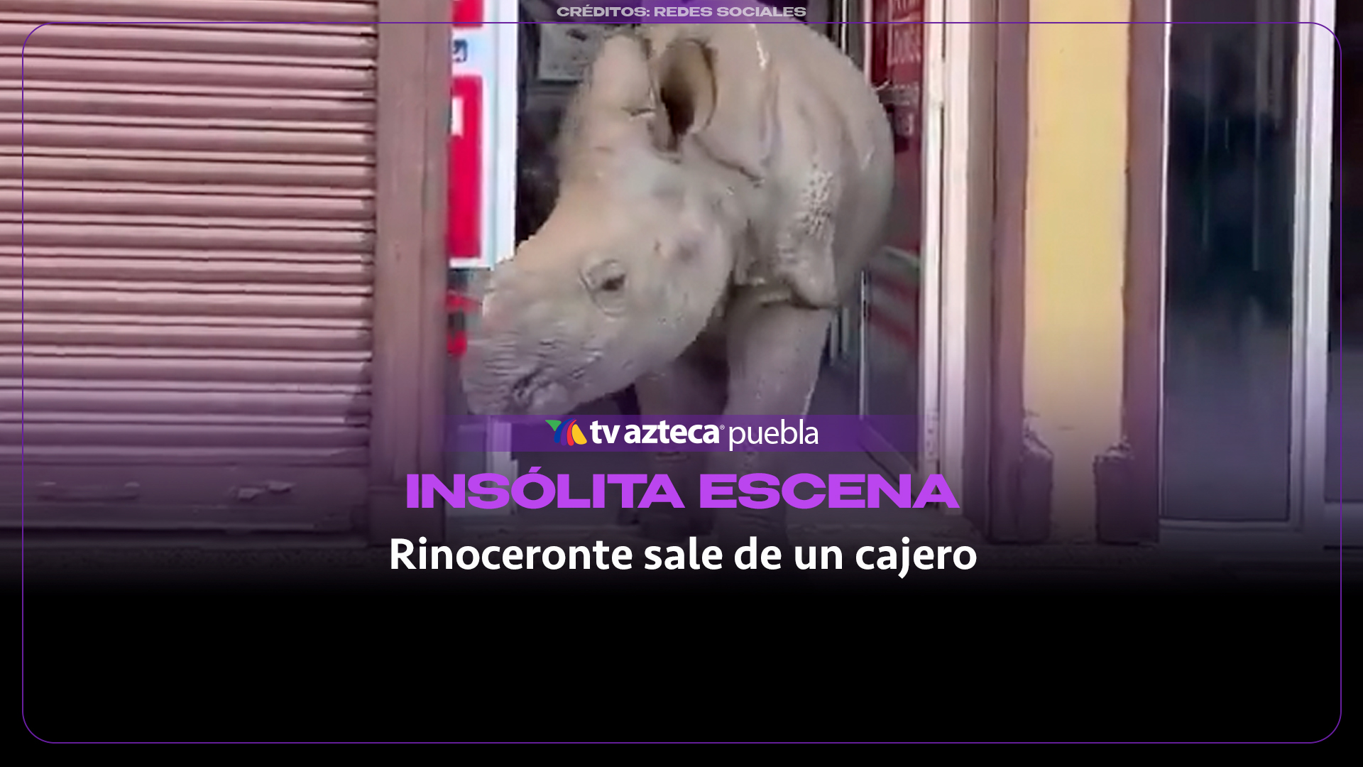 Rinoceronte sorprende al salir de un cajero automático en Nepal