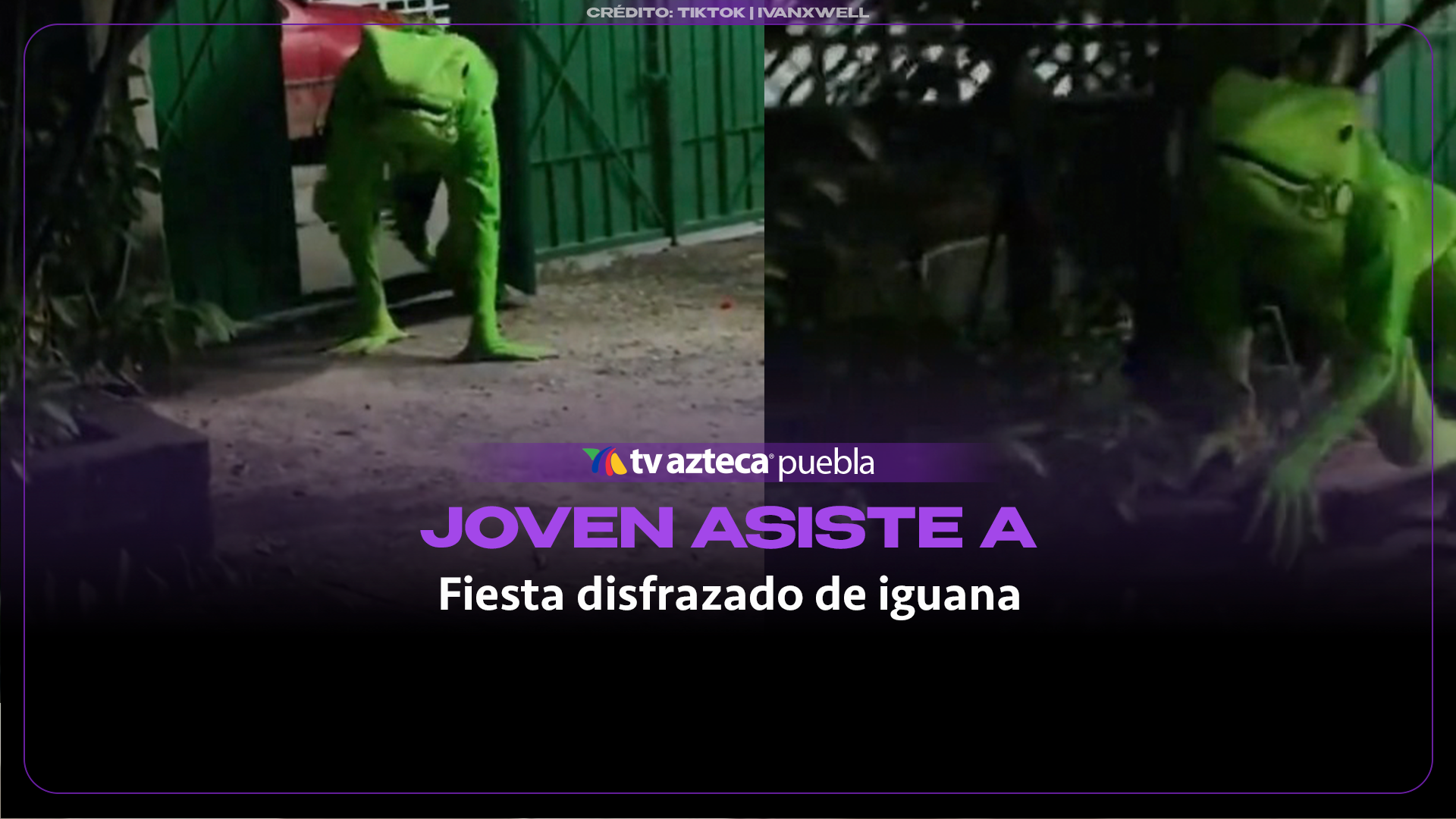 Joven llega a fiesta disfrazado de iguana