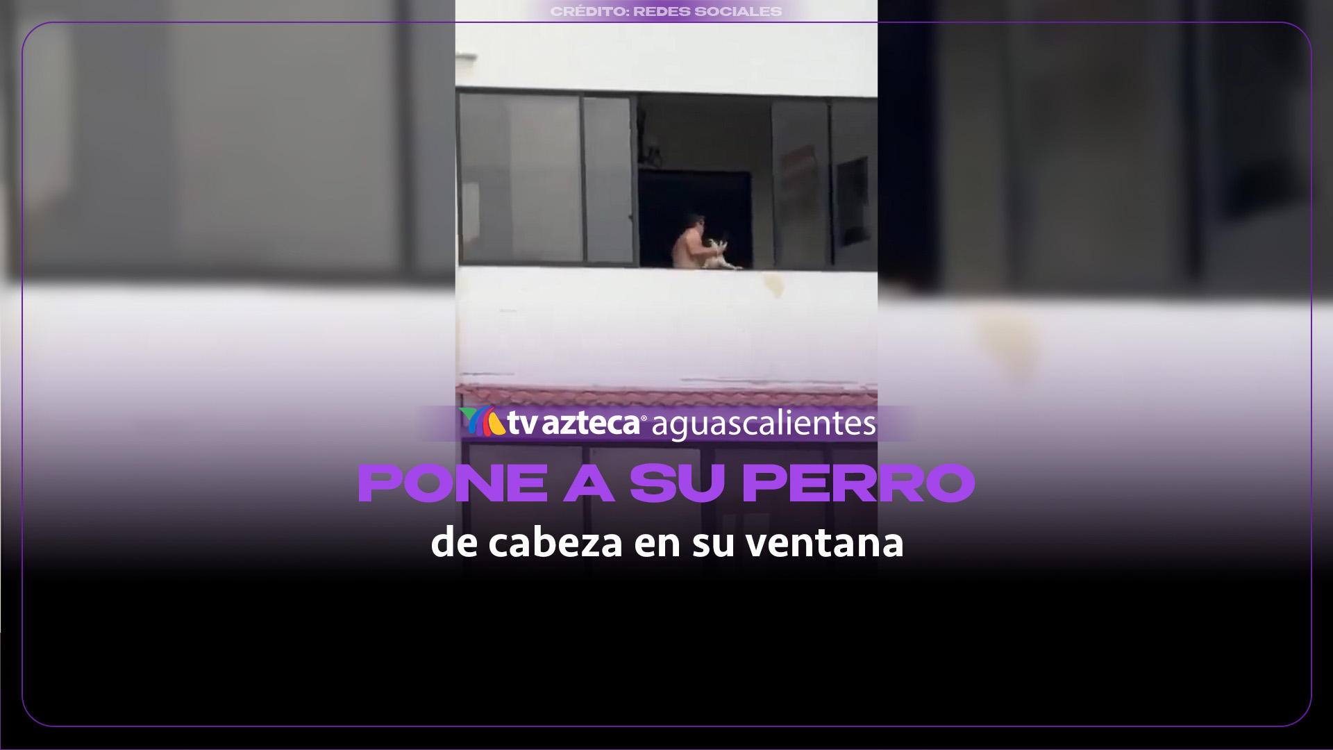 Detienen a hombre por colgar a perro en San Salvador