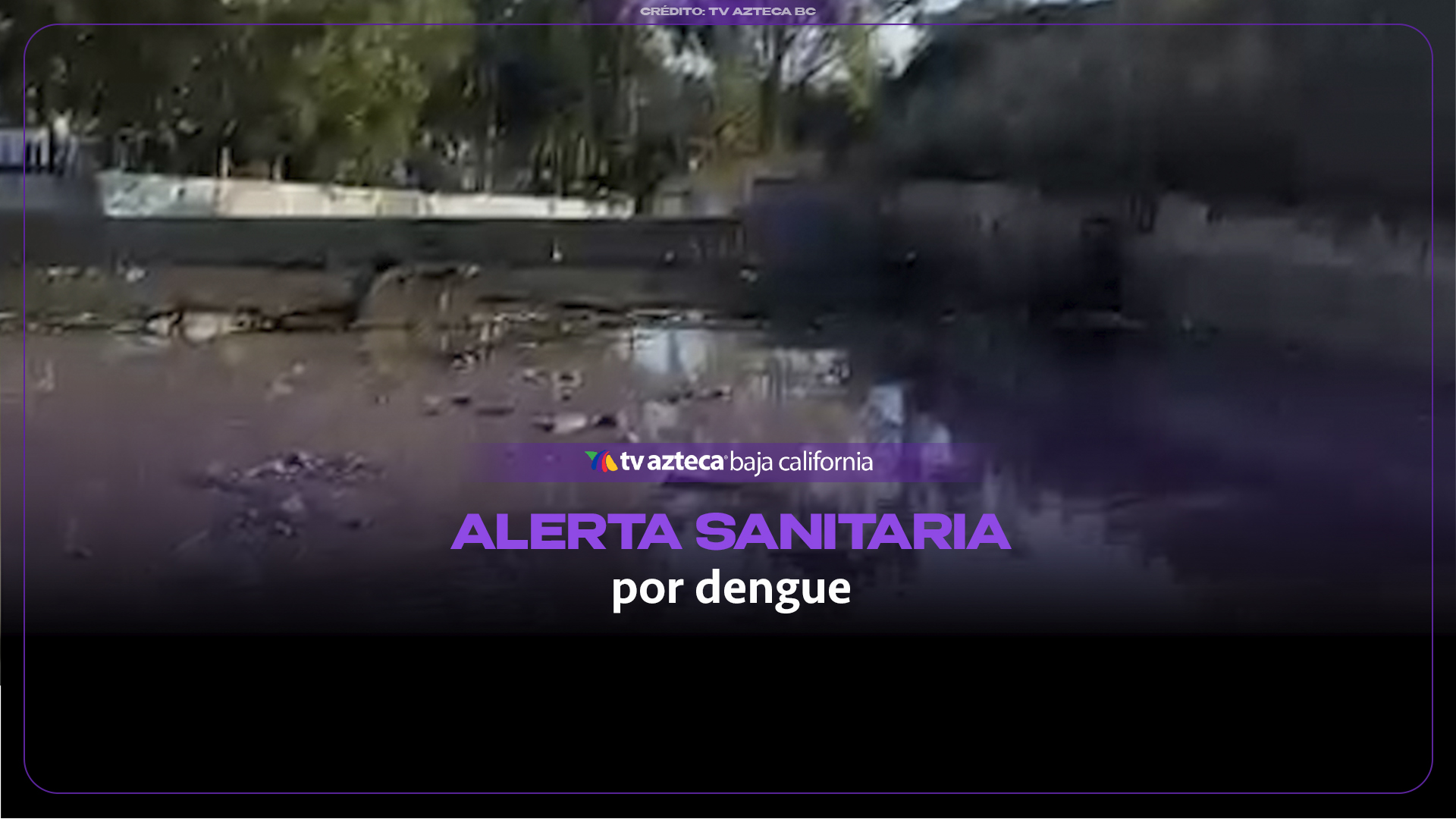 ¿Riesgo de dengue en Tijuana? Activan alerta tras las lluvias de Rachel