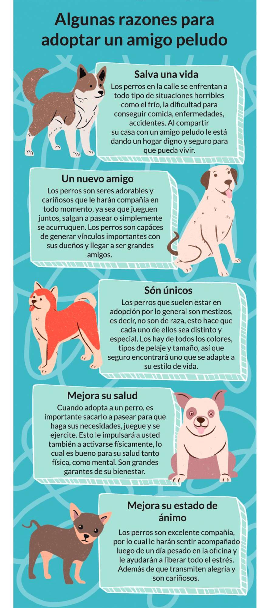 Mix News Colombia: Infografía Día Del Perro - Linio Colombia