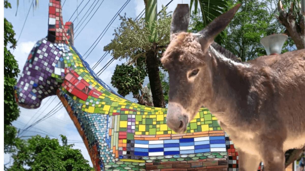 Un homenaje al primer amor”: estatua de burra crea polémica en Sincelejo |  ElUniversal.com.co