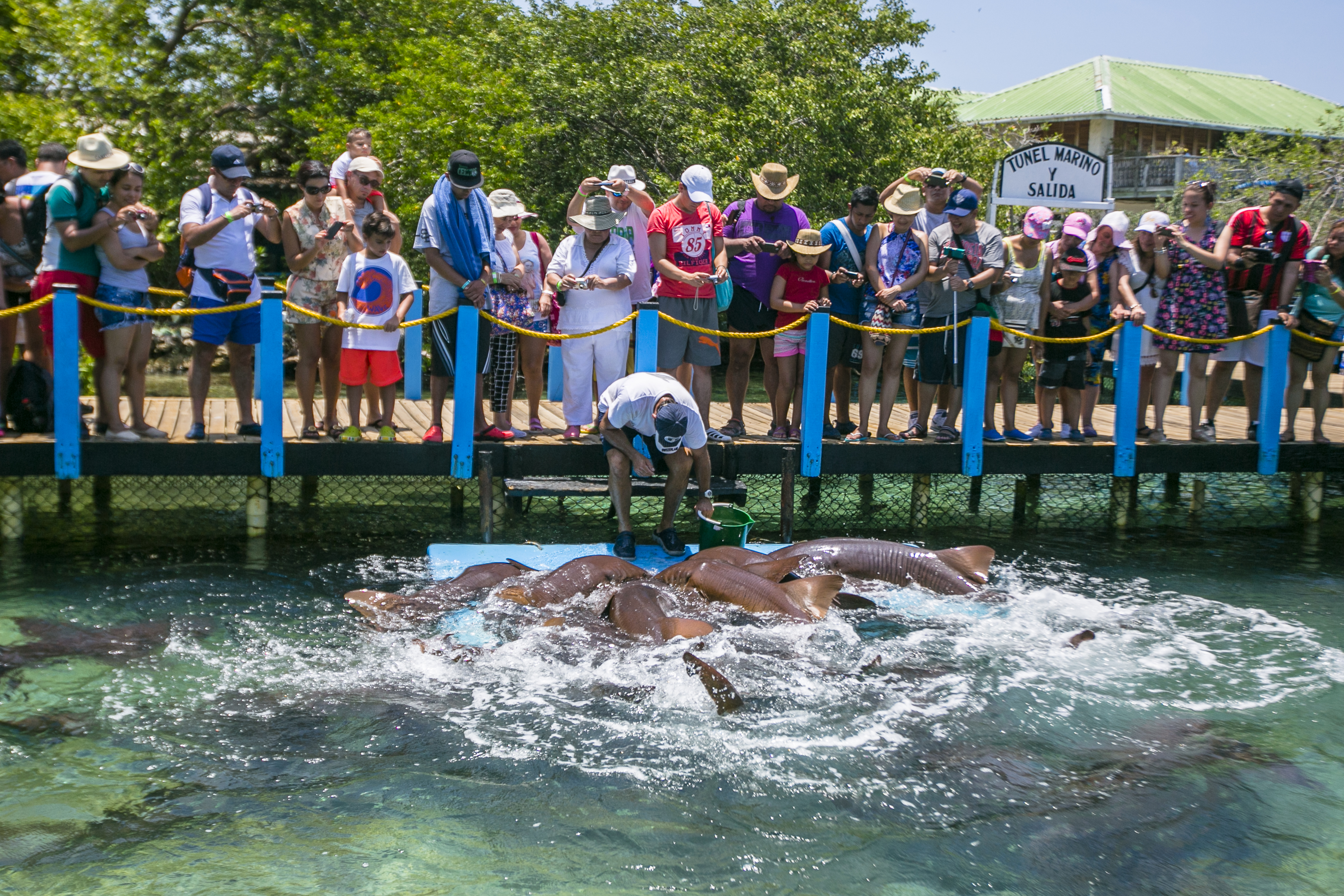 Experiencia en el Oceanario