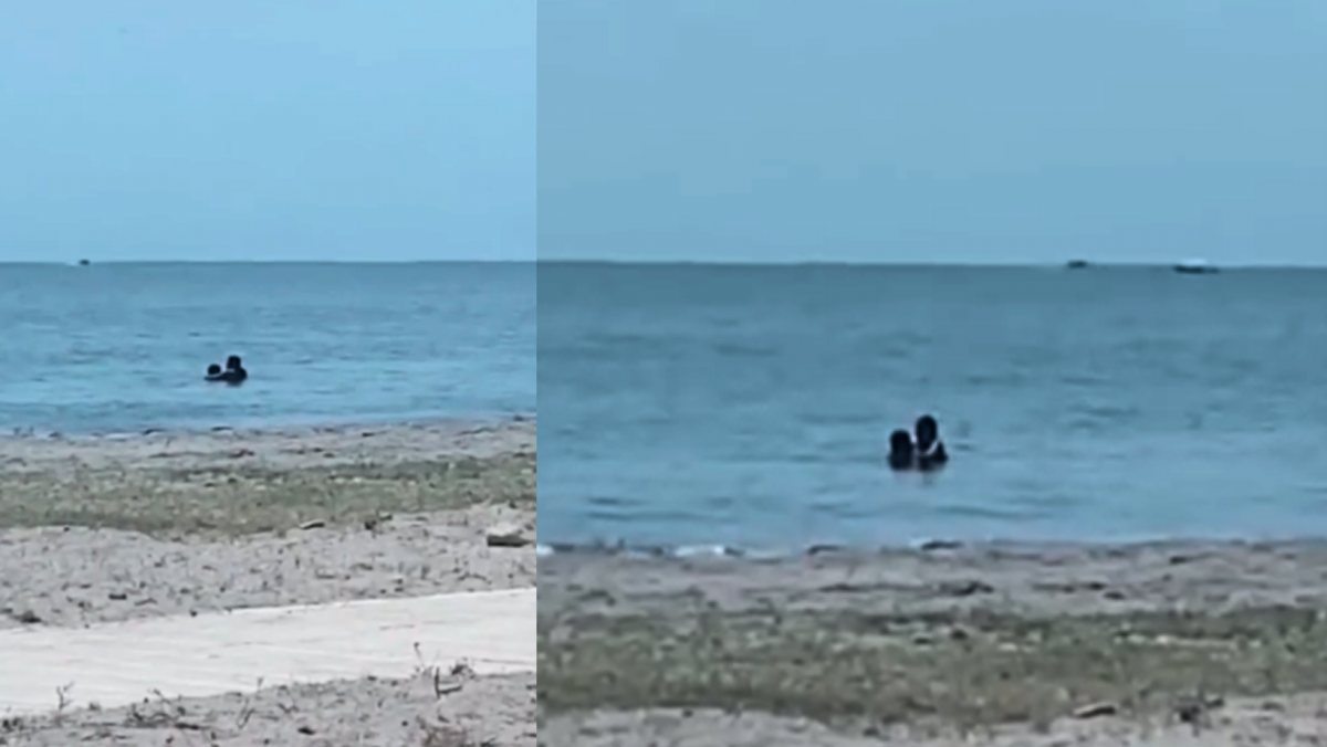 Estaban teniendo sexo? Se viraliza video de una pareja en playa de  Cartagena | ElUniversal.com.co