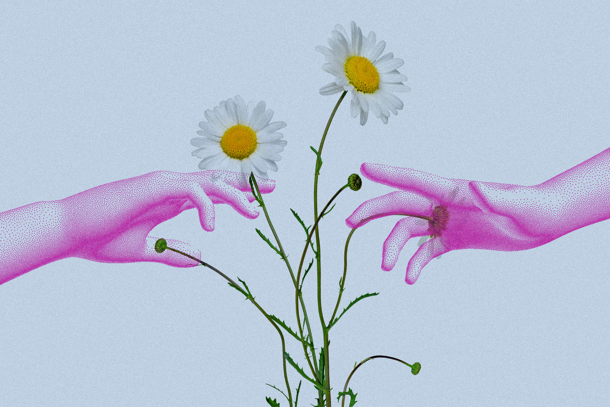 (The Washington Post)