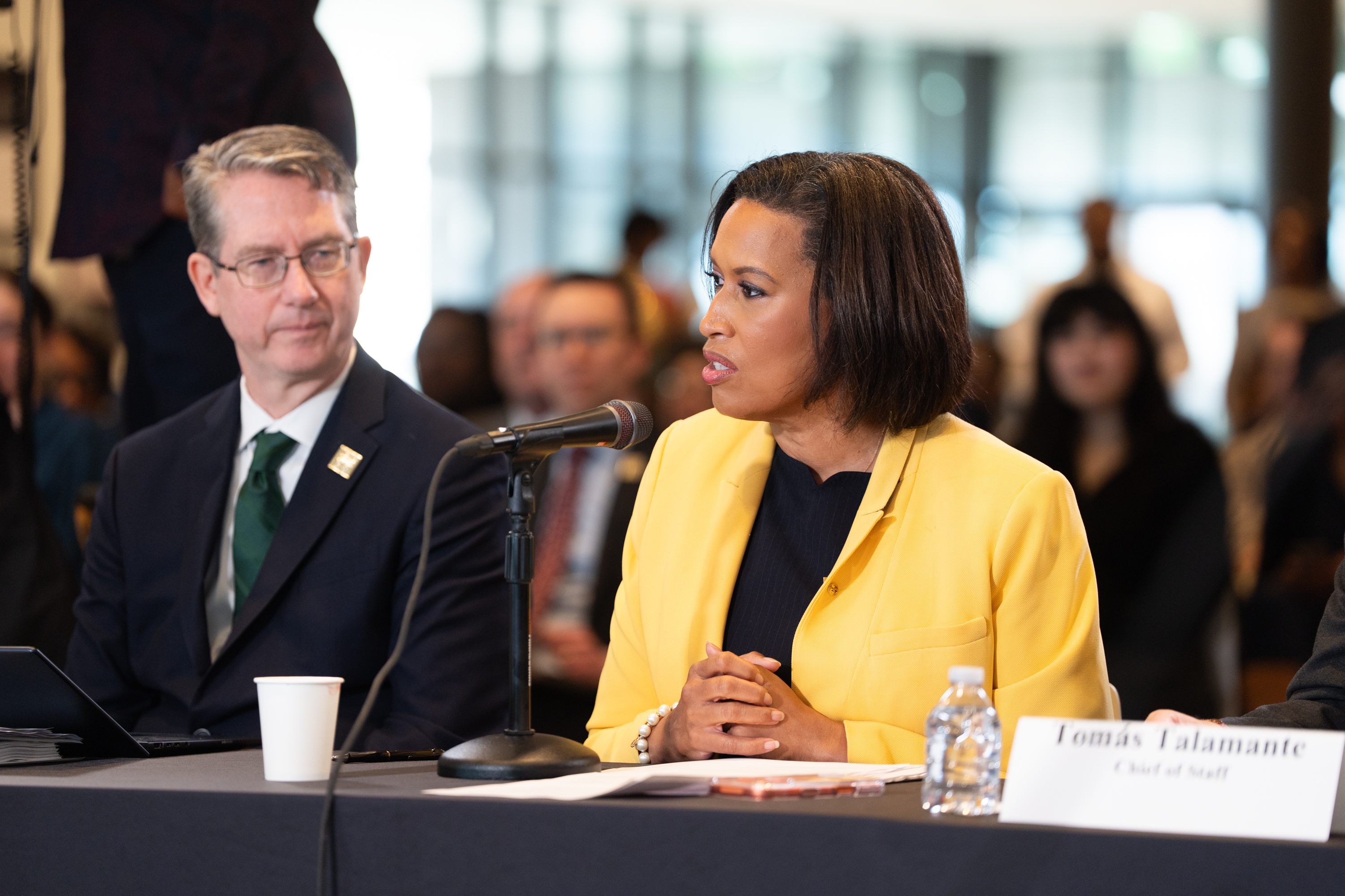 D.C: Mayor Muriel E. Bowser presents her budget analysis to council members on April 10. (Jordan Tovin/For the Washington Post)