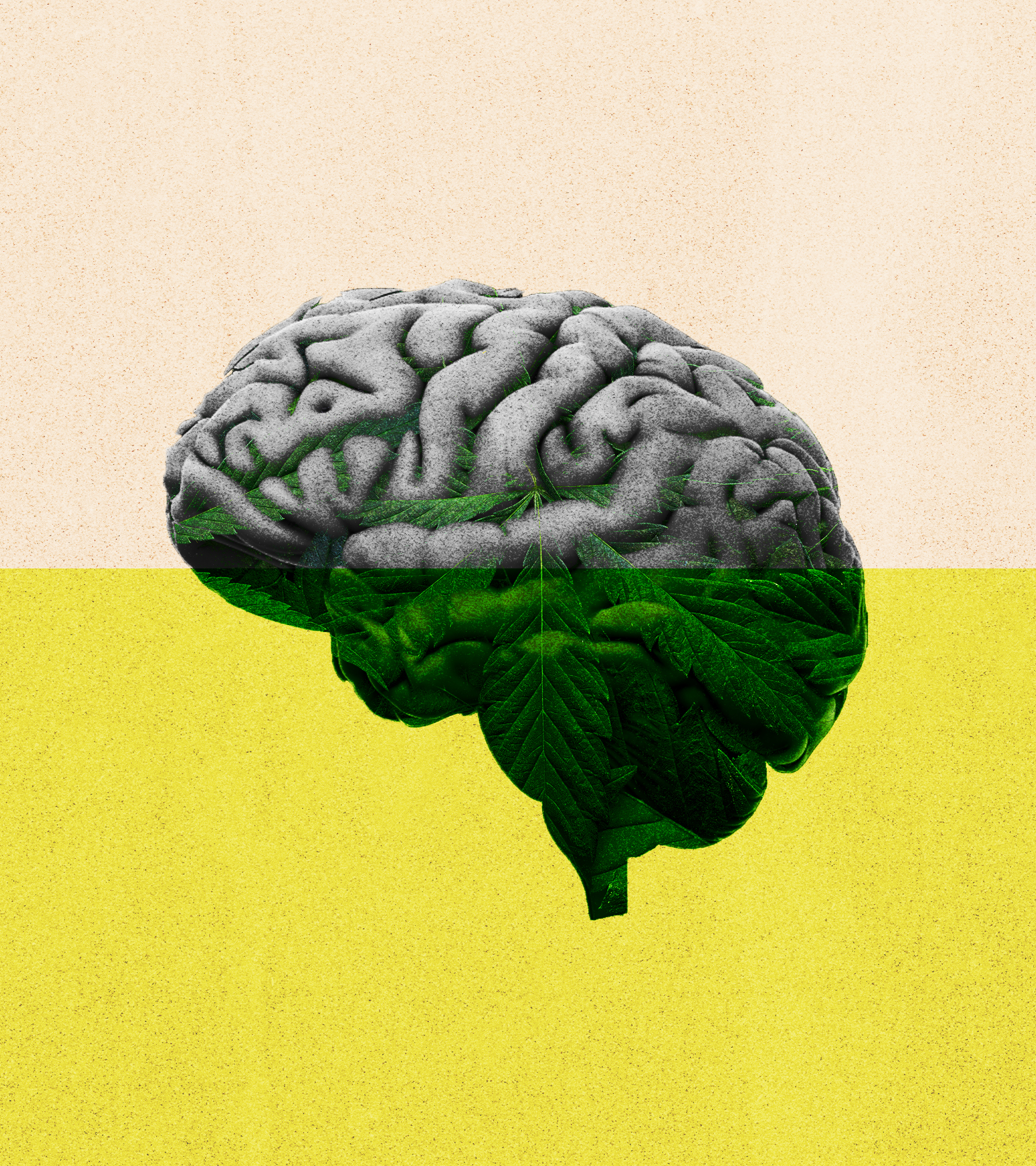 (Illustration by Natalie Vineberg/The Post/iStock)