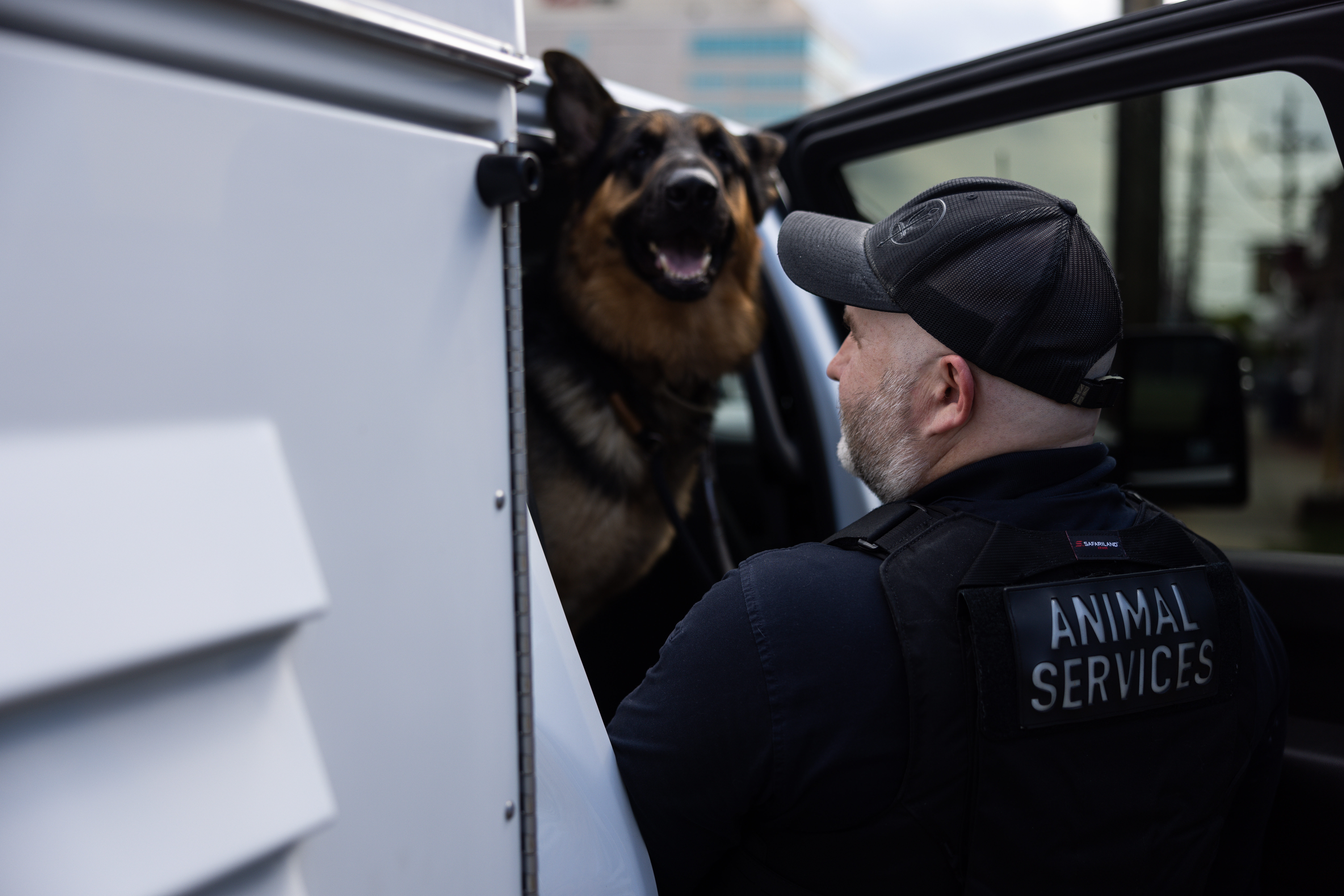 Jesien with an escaped German shepherd he placed in his truck. (Tierney L. Cross/For The Washington Post)