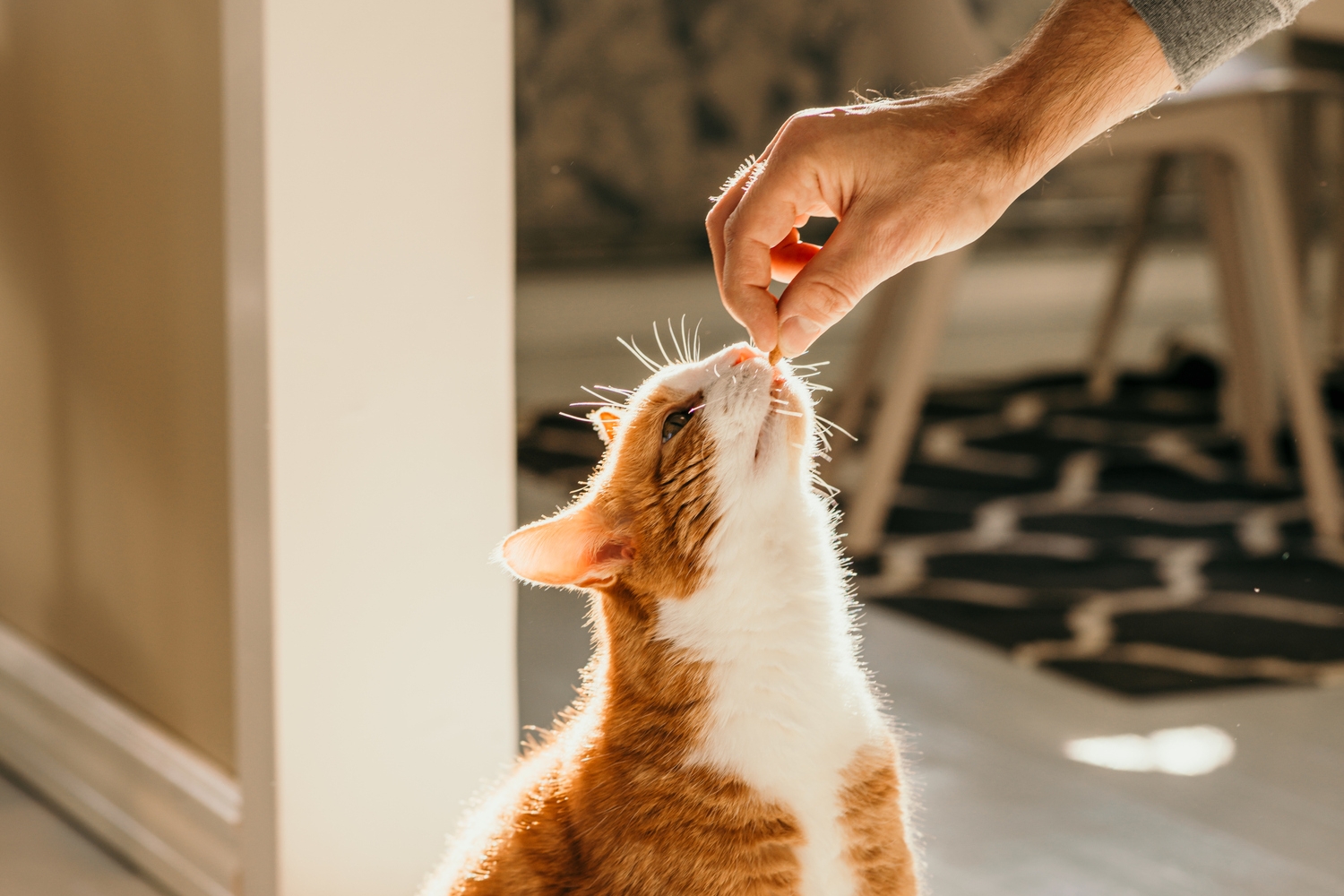 (iStock)