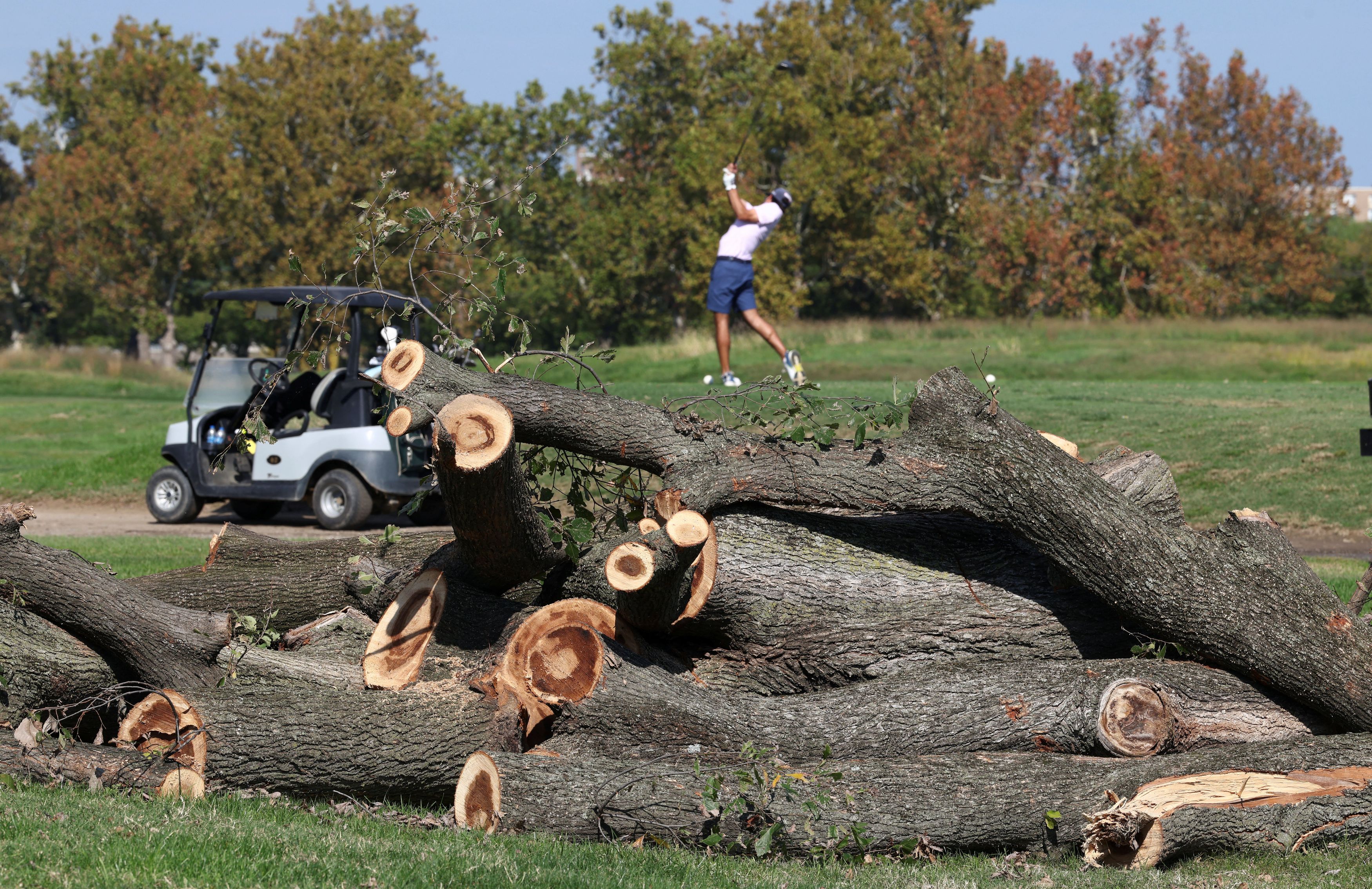 A golfer at East Potomac Golf Links in Washington tees off Wednesday near trees that were felled by National Park Service crews last weekend. (Kevin Lamarque/Reuters)