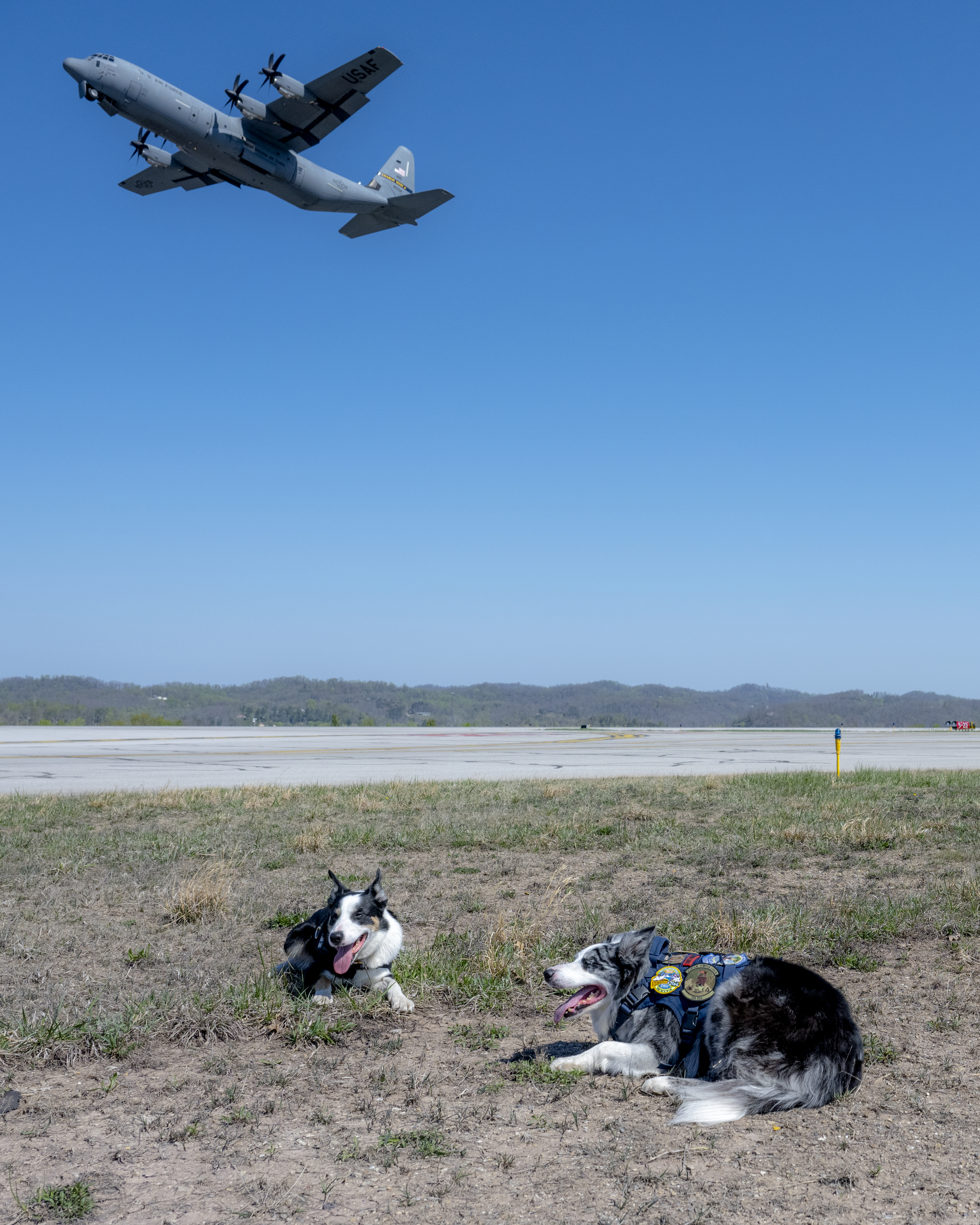 (Rich-Joseph Facun/For The Washington Post)