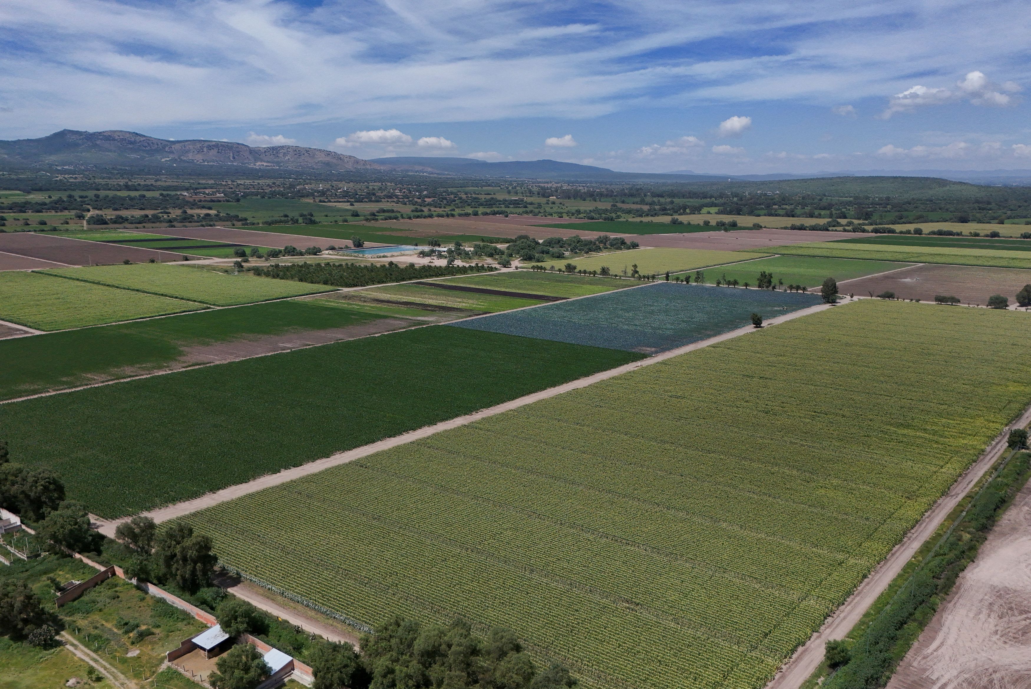 FDA inspectors on-site at Taylor Farms de Mexico for first time, a month after linking its lettuce to largest U.S. cyclospora outbreak