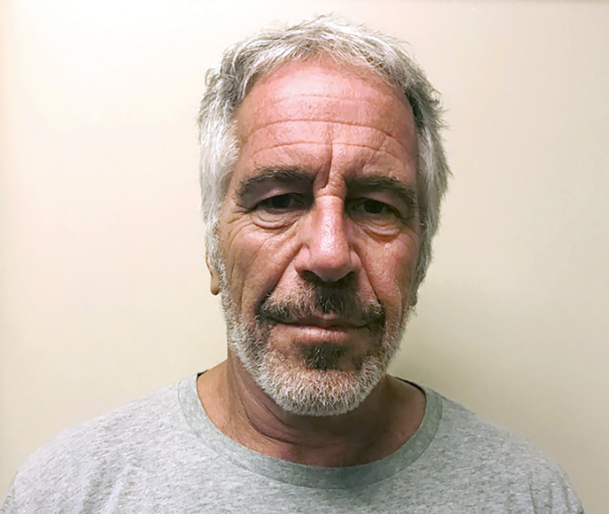 Jeffrey Epstein, shown in a 2017 photo provided by the New York State Sex Offender Registry. (AP)