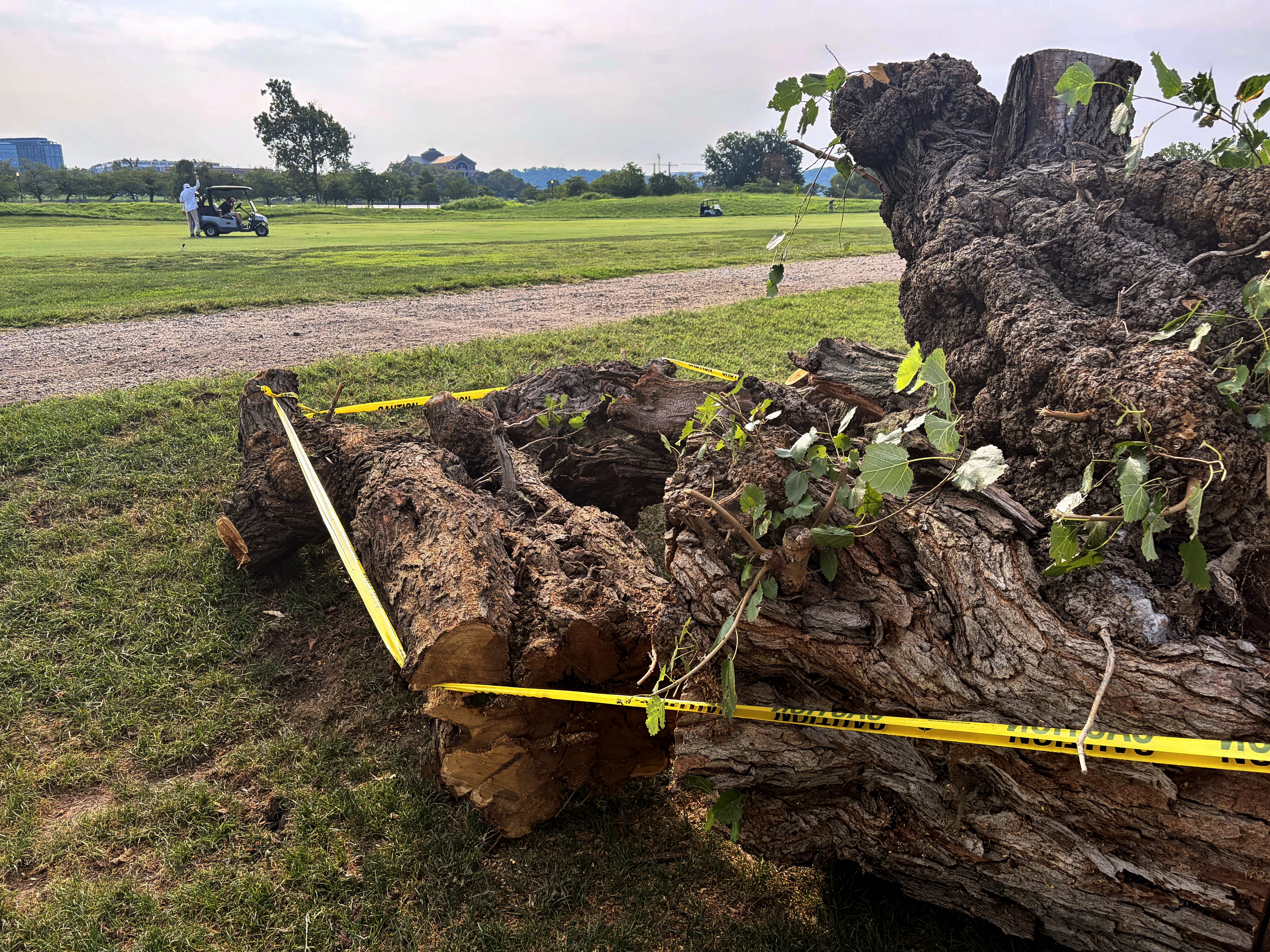 Trees have recently been taken down at East Potomac Golf Links in D.C. (Rick Maese/The Washington Post)