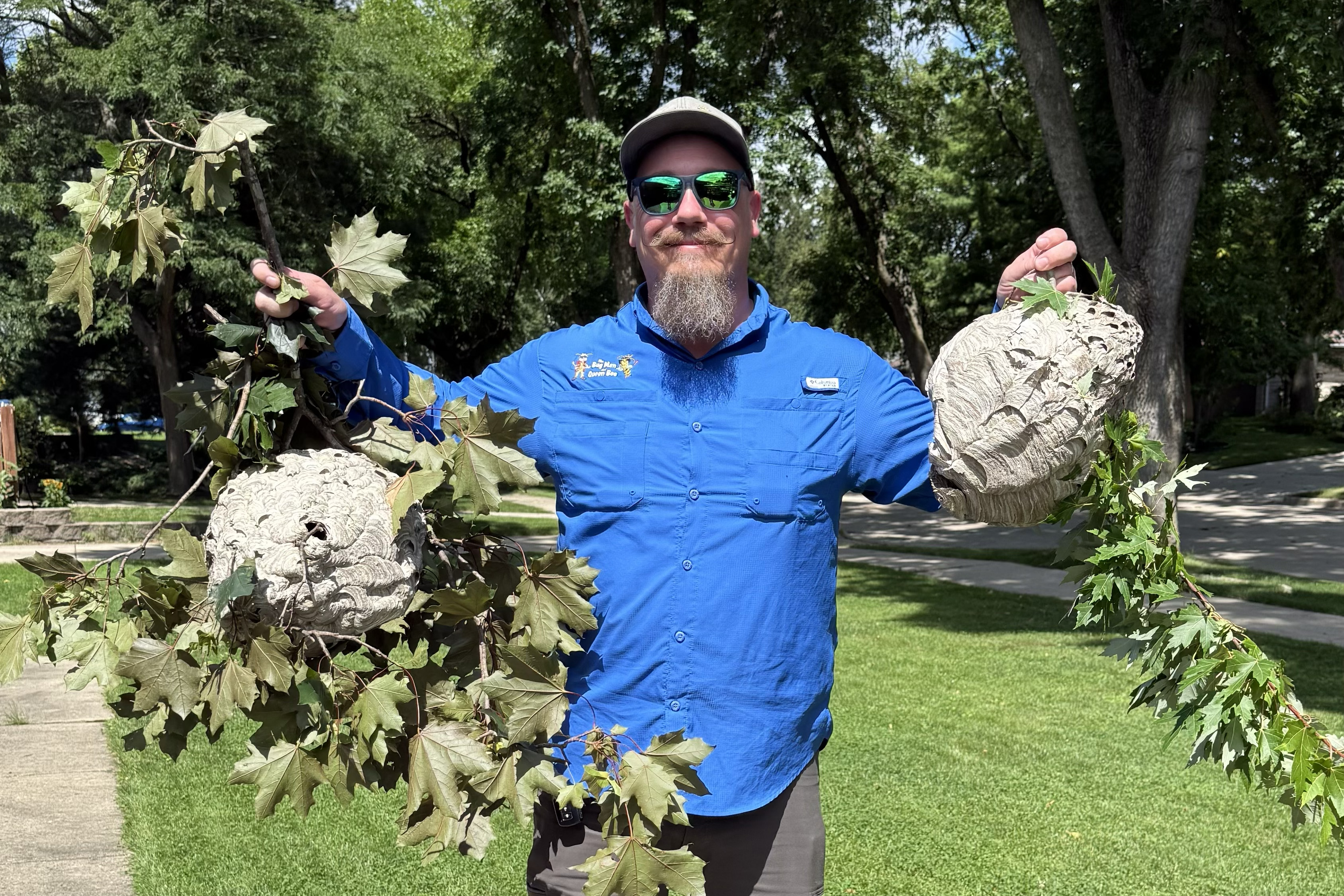 Adam Hintzke’s pest-control company in Milwaukee has seen a surge in wasp-related calls. (Courtesy of Adam Hintzke)