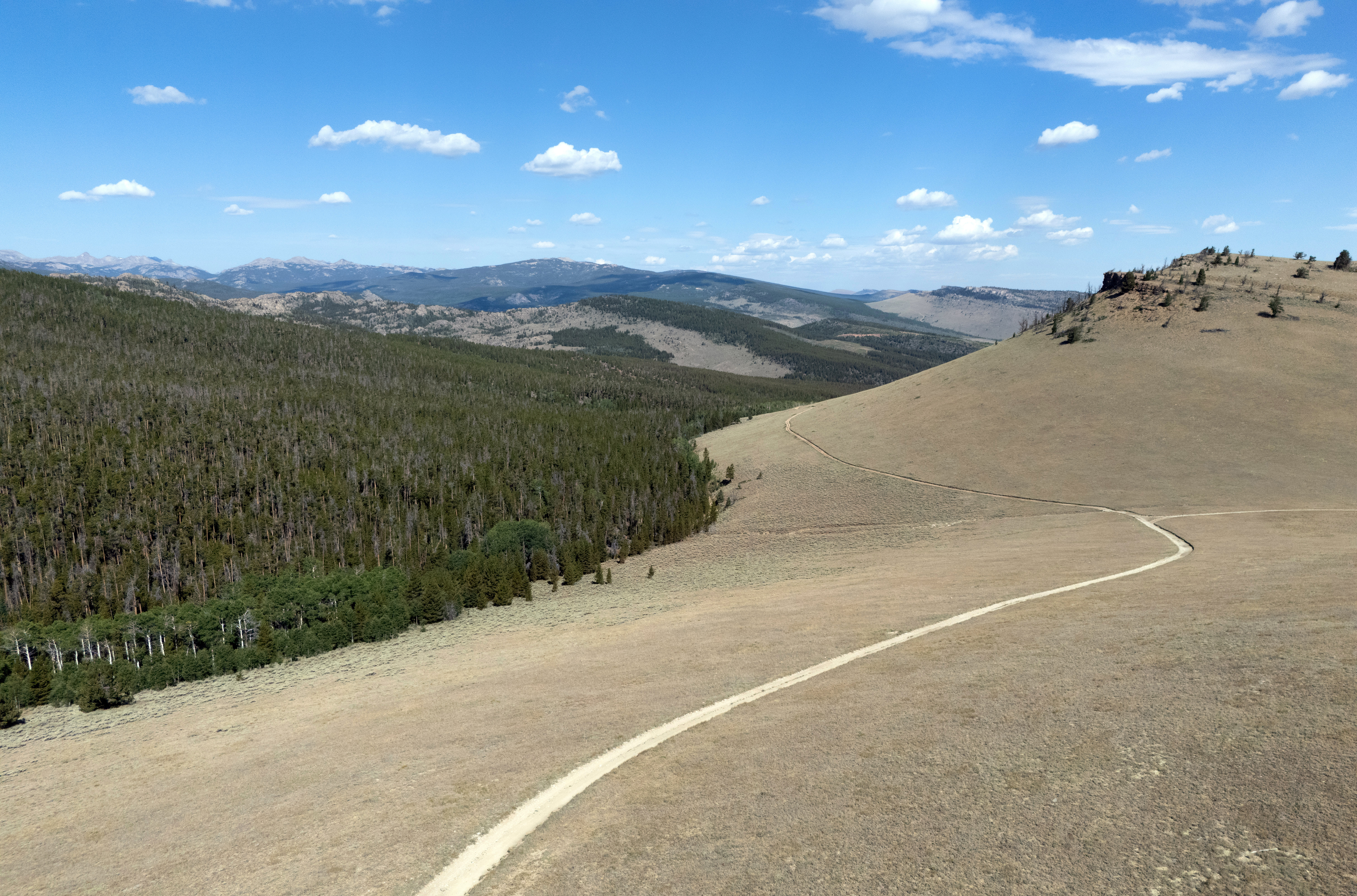 A road winds through the Shoshone National Forest last year in Lander, Wyoming. (Matt McClain/The Washington Post)