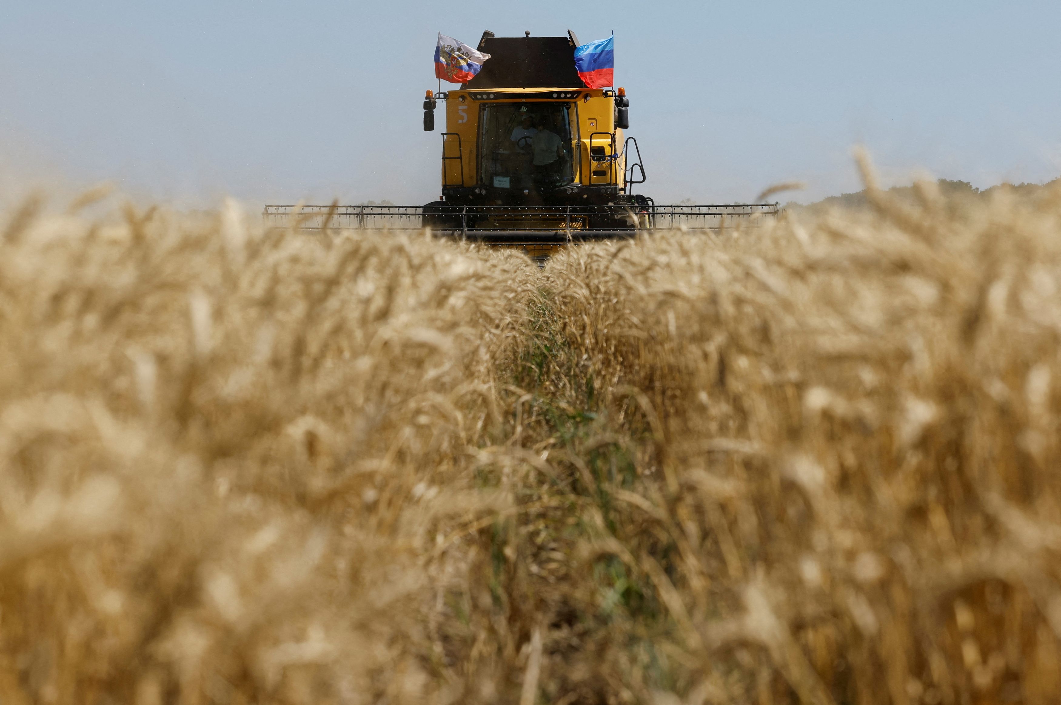A farm in a Russian-occupied area of Ukraine's Luhansk region last year. (Alexander Ermochenko/Reuters)