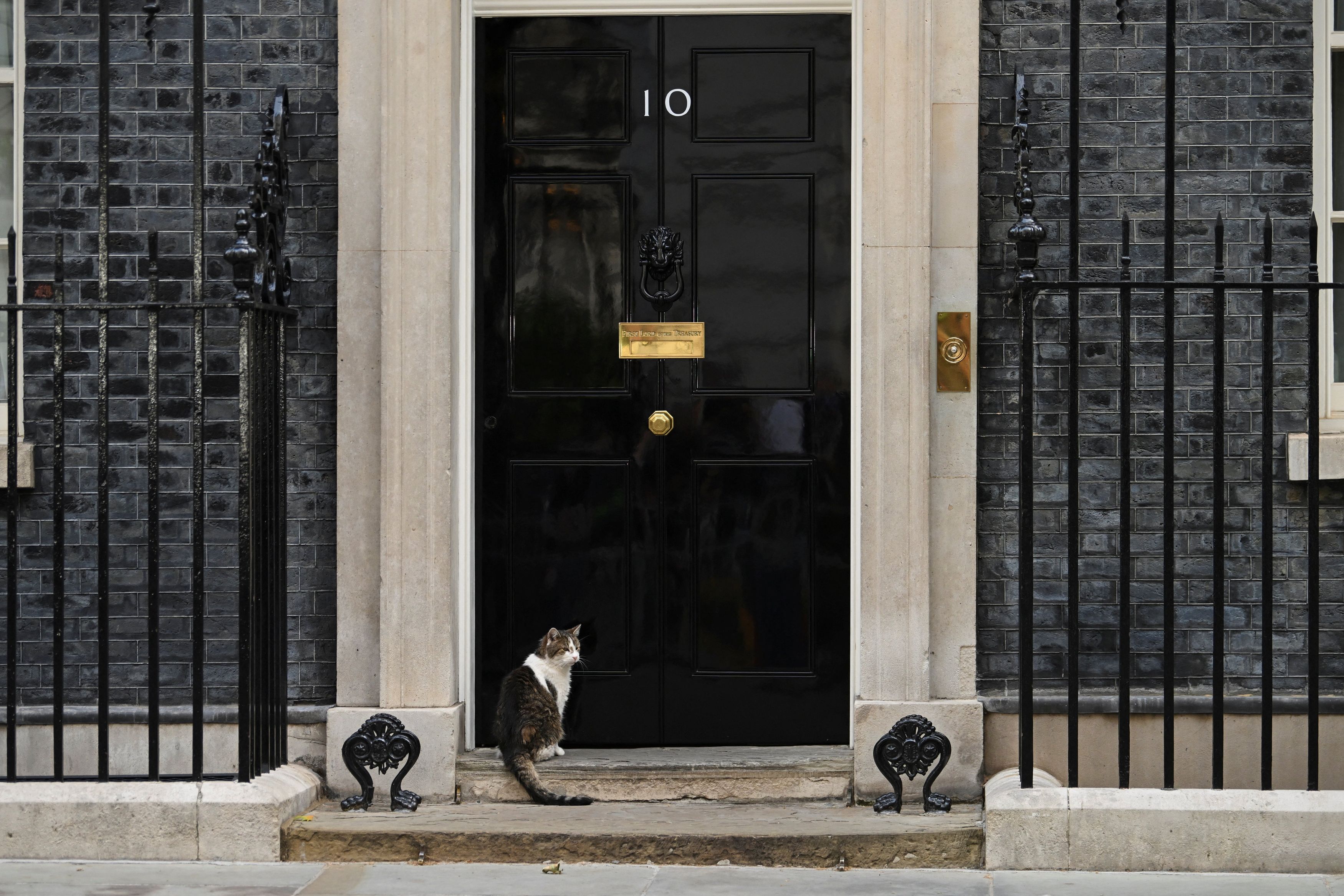 Larry the Cat outside 10 Downing Street in London on Monday. (Jaimi Joy/Reuters)