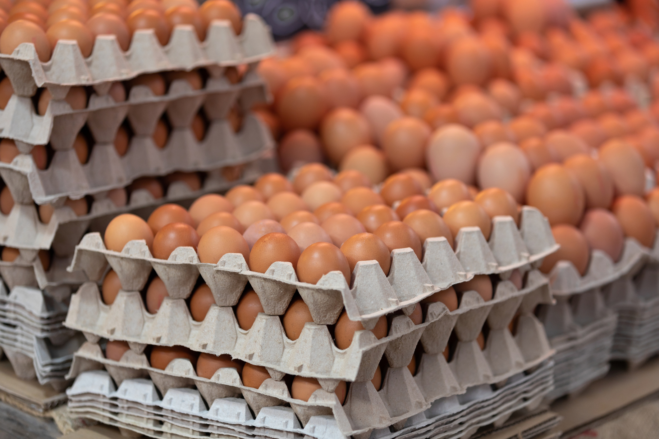FDA upgrades egg recall to highest risk level as salmonella outbreak sickens 98 across 17 states; 26 hospitalized