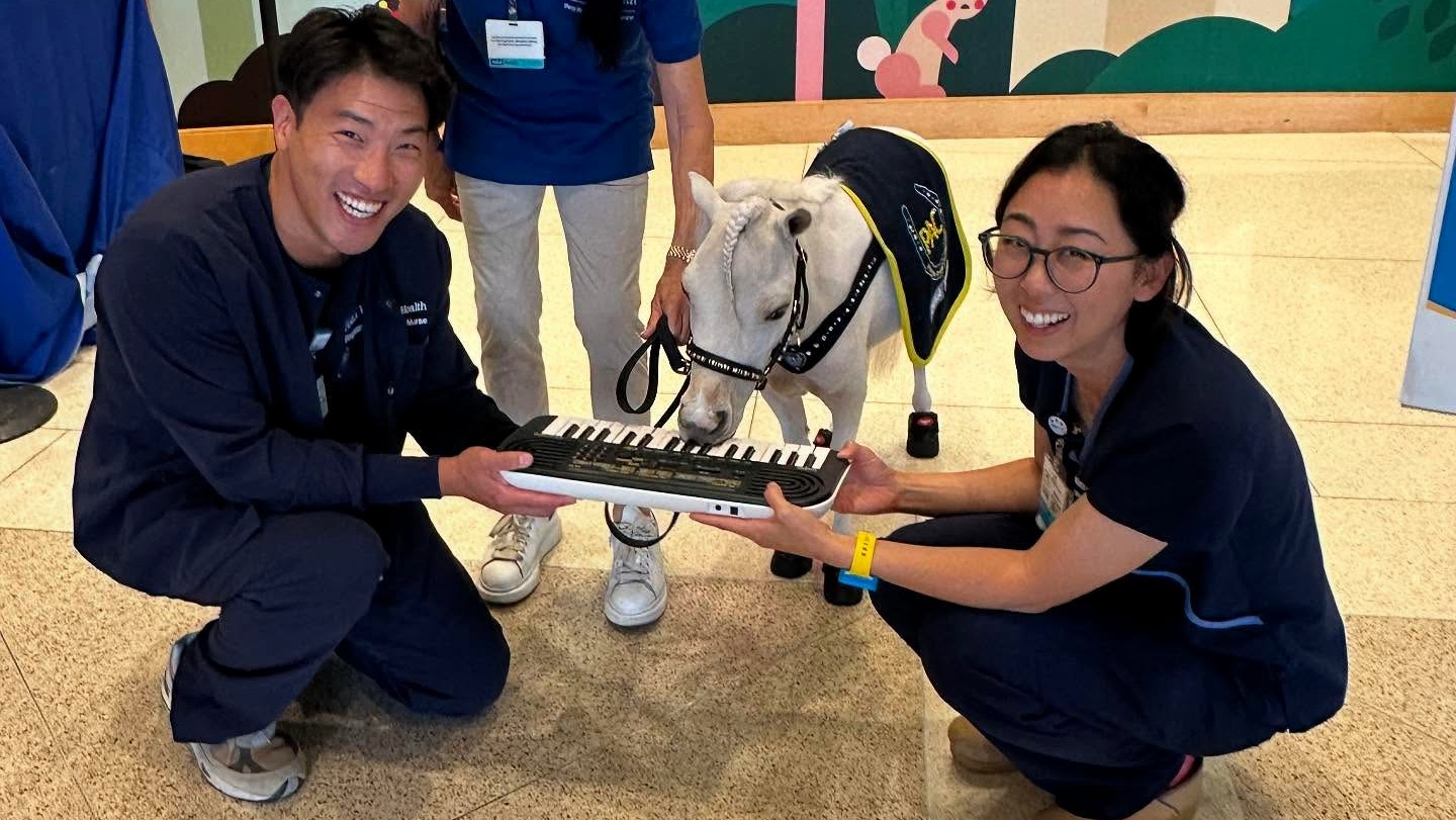 Health care professionals in Los Angeles hold a keyboard for Valentina Blue to play in September. (Mini Therapy Horses)