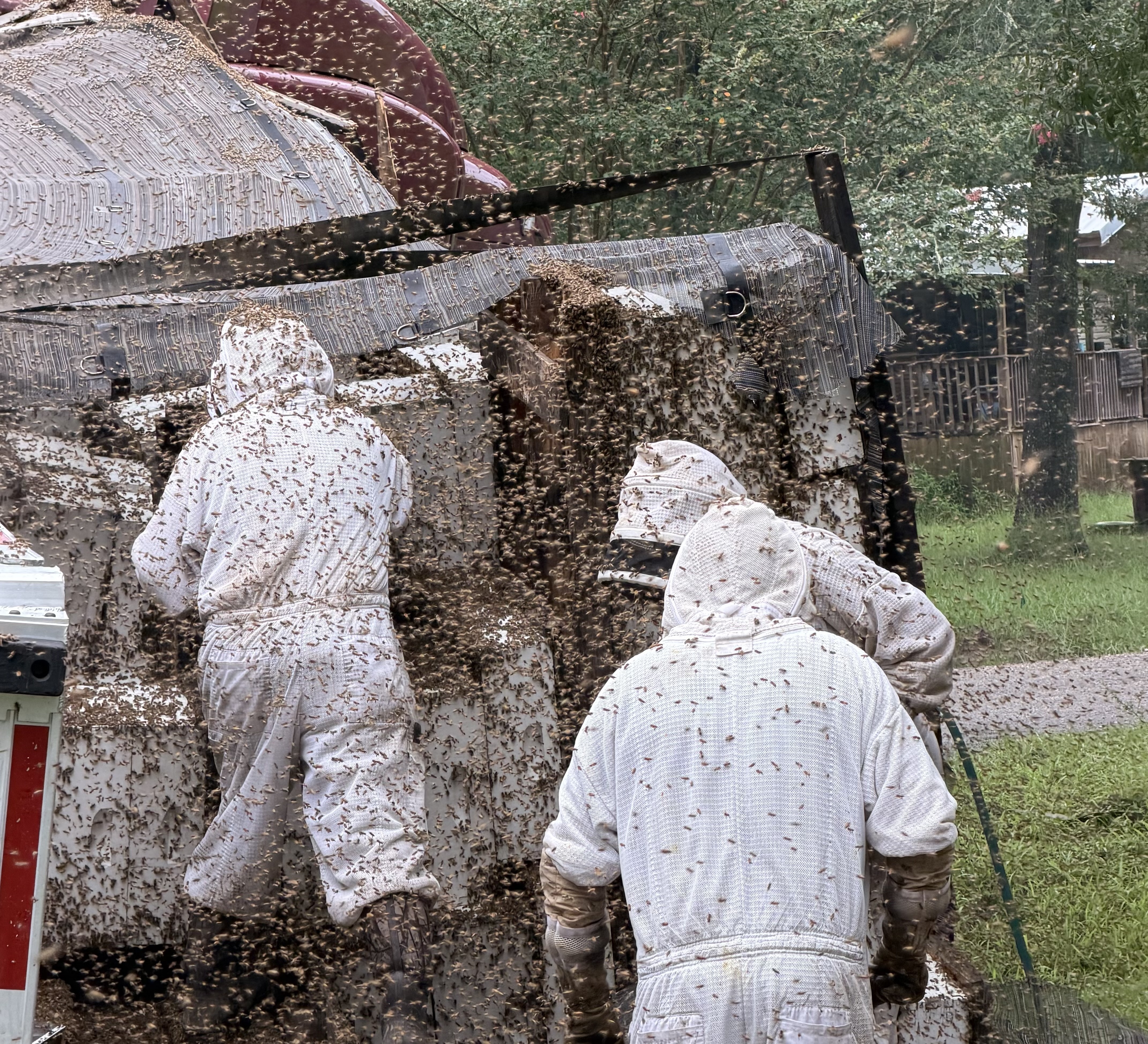 Beekeepers removed hives from an overturned truck on Sunday in Orange County, Texas. (Christie Ray/Queen Bee Supply)