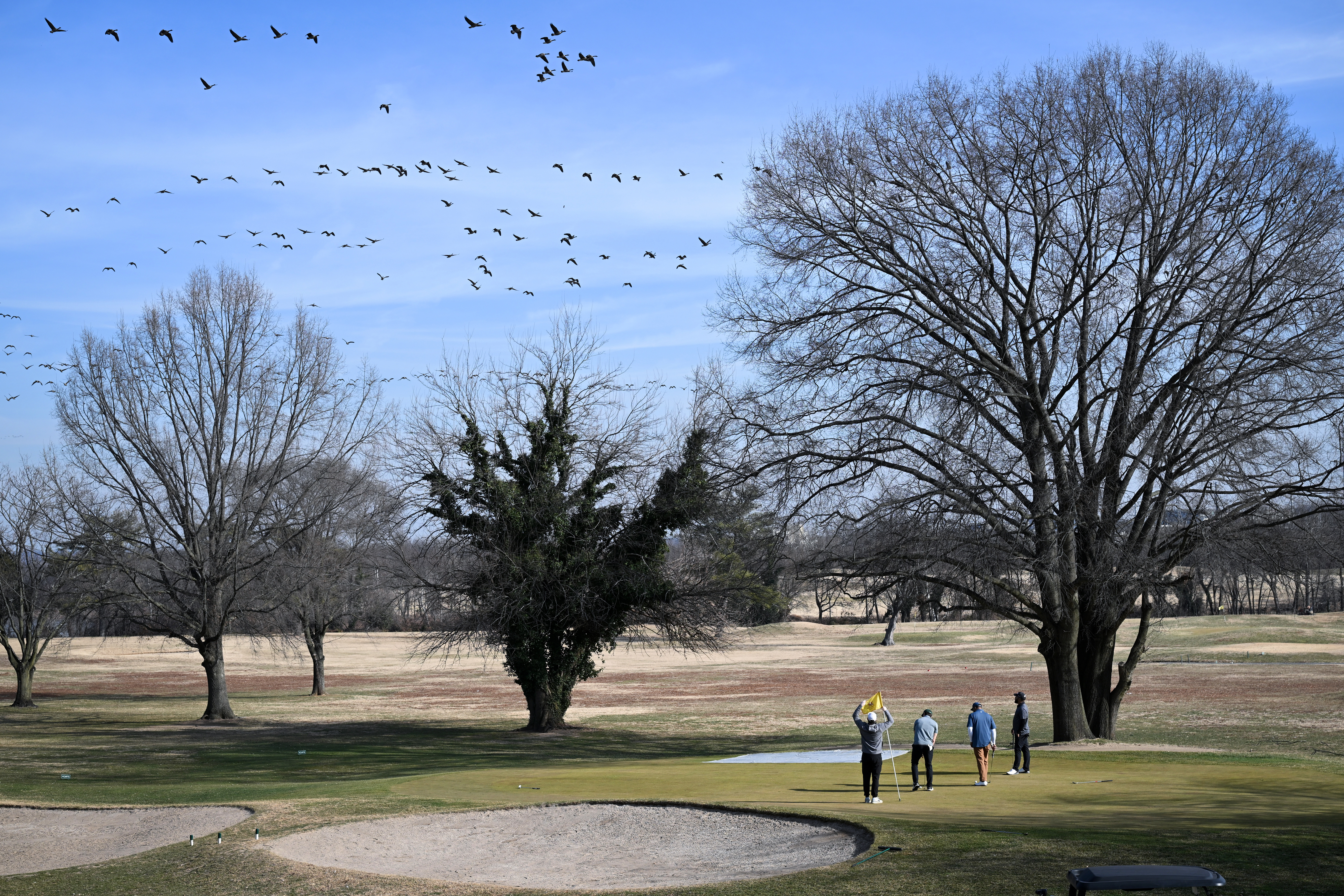 Langston Golf Course in Washington. (Matt McClain/The Washington Post)