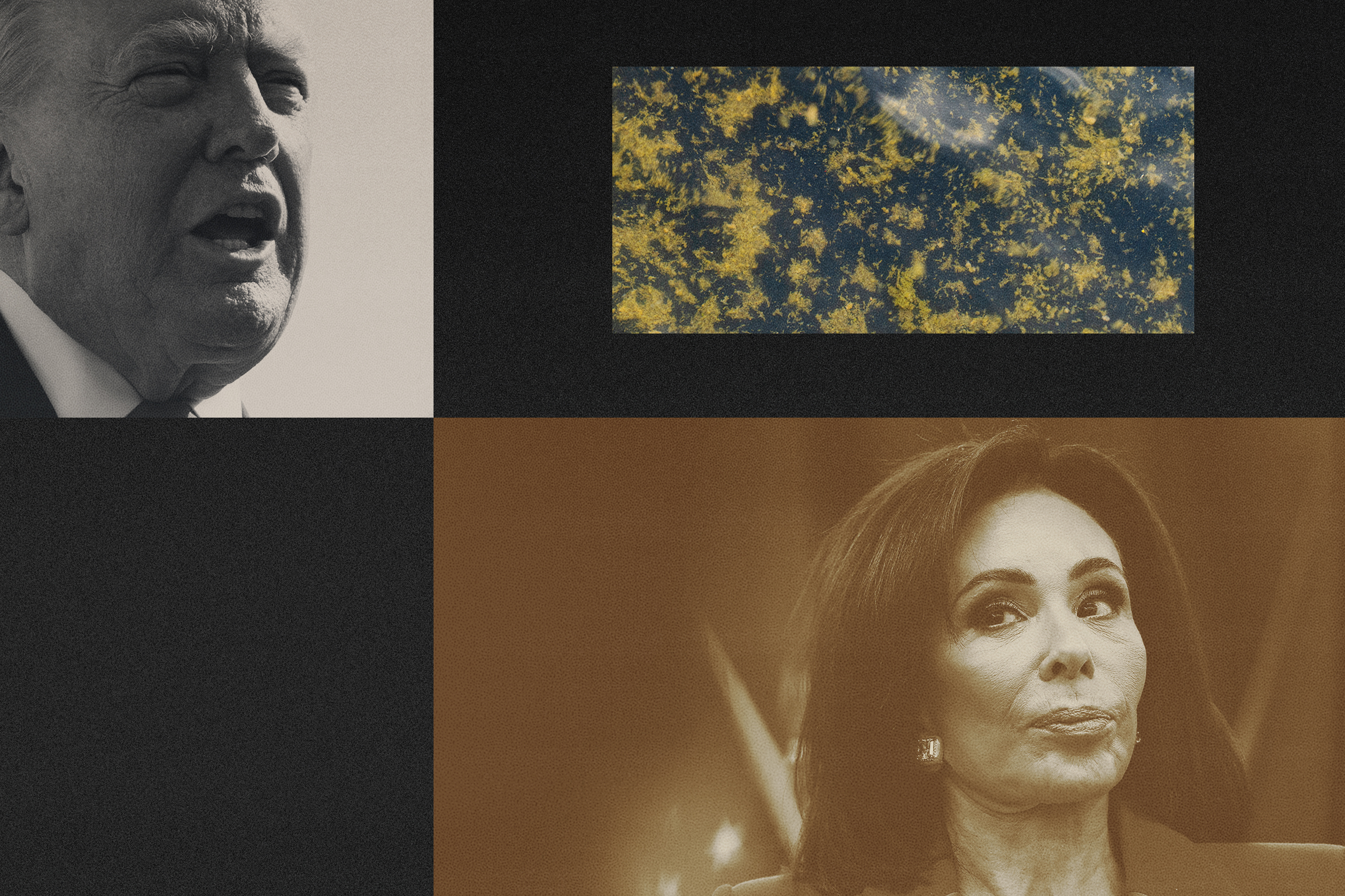 (Washington Post illustration; Evelyn Hockstein/Reuters; Al Drago/For The Post; Heather Diehl/Getty Images/TWP)