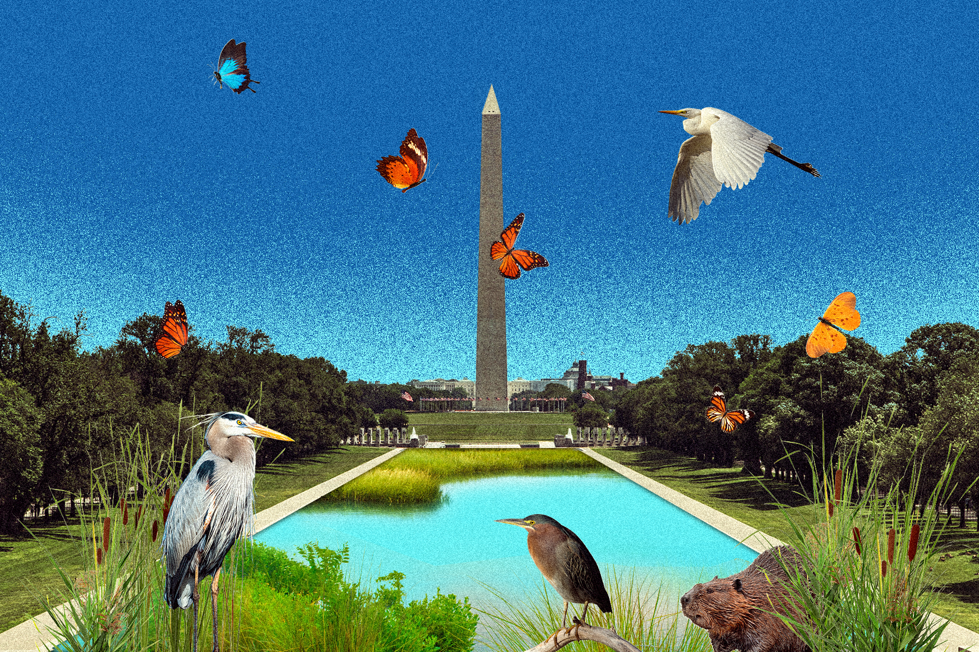 (The Washington Post/Emma Kumer/The Washington Post; iStock)