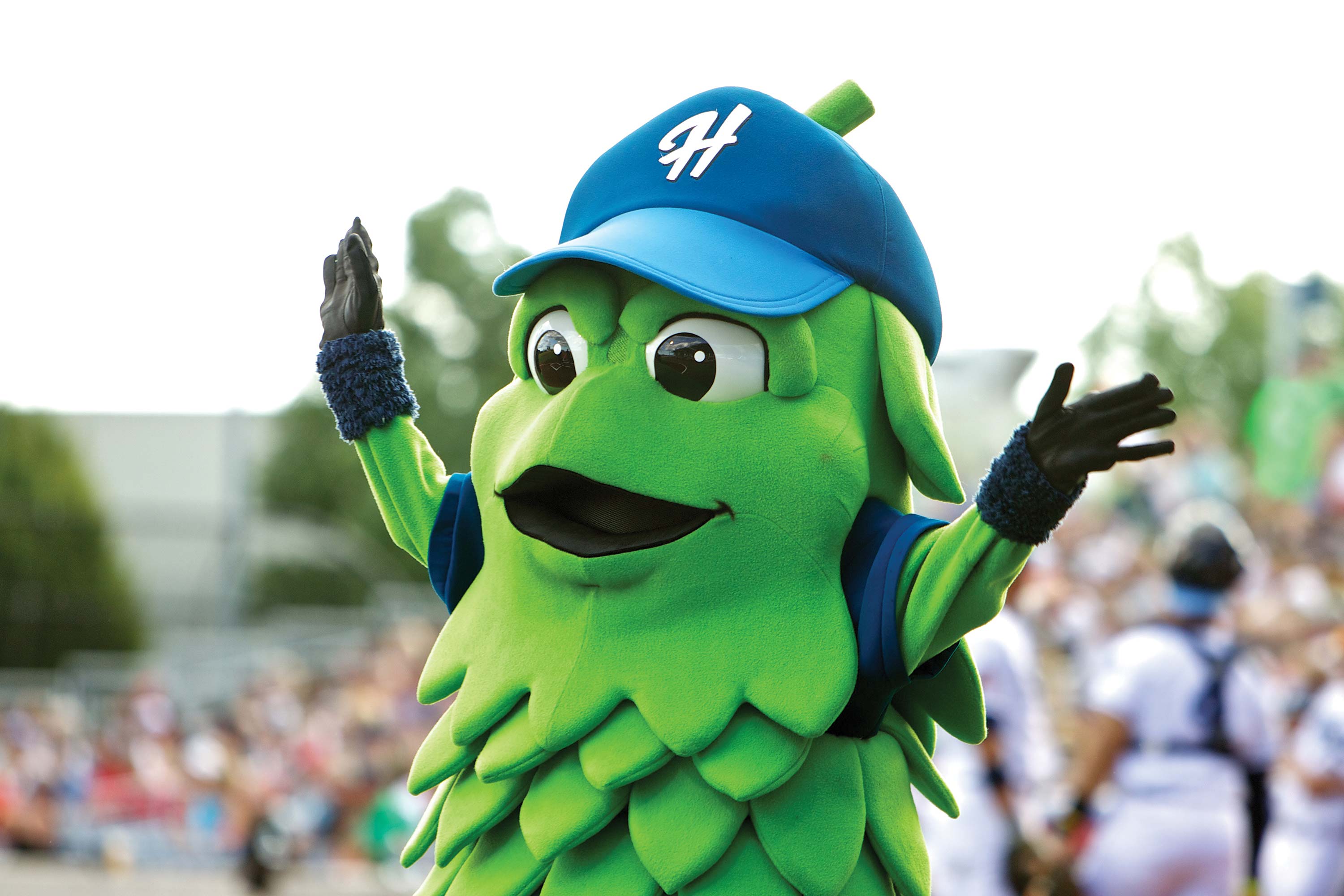 Hillsboro Hops finalize MLB deal, prepare for dramatic growth