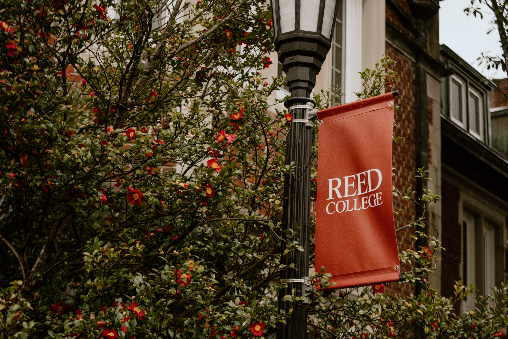 A New Novel Revisits a Dark Era at Reed College