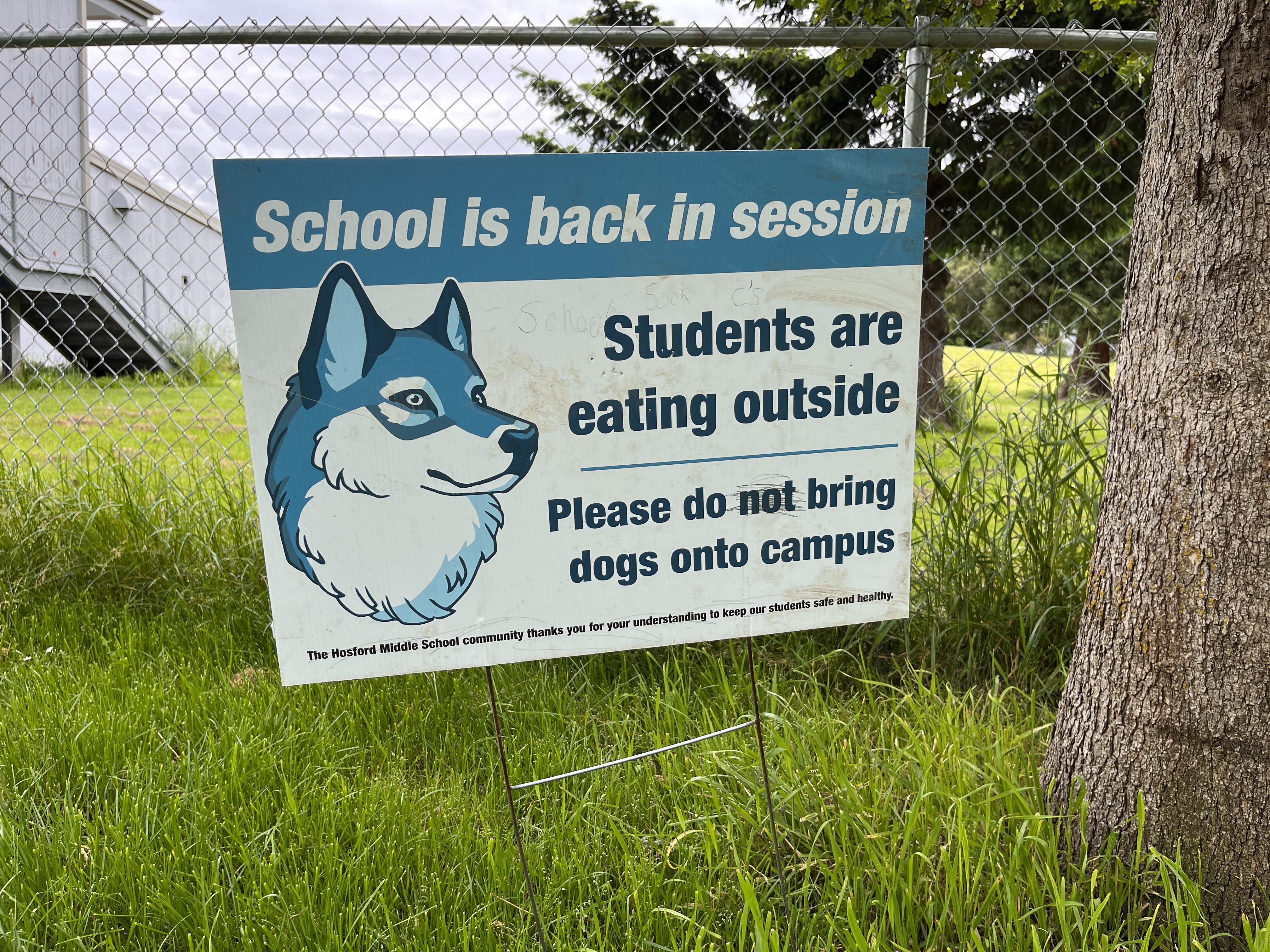 are dogs allowed on school property