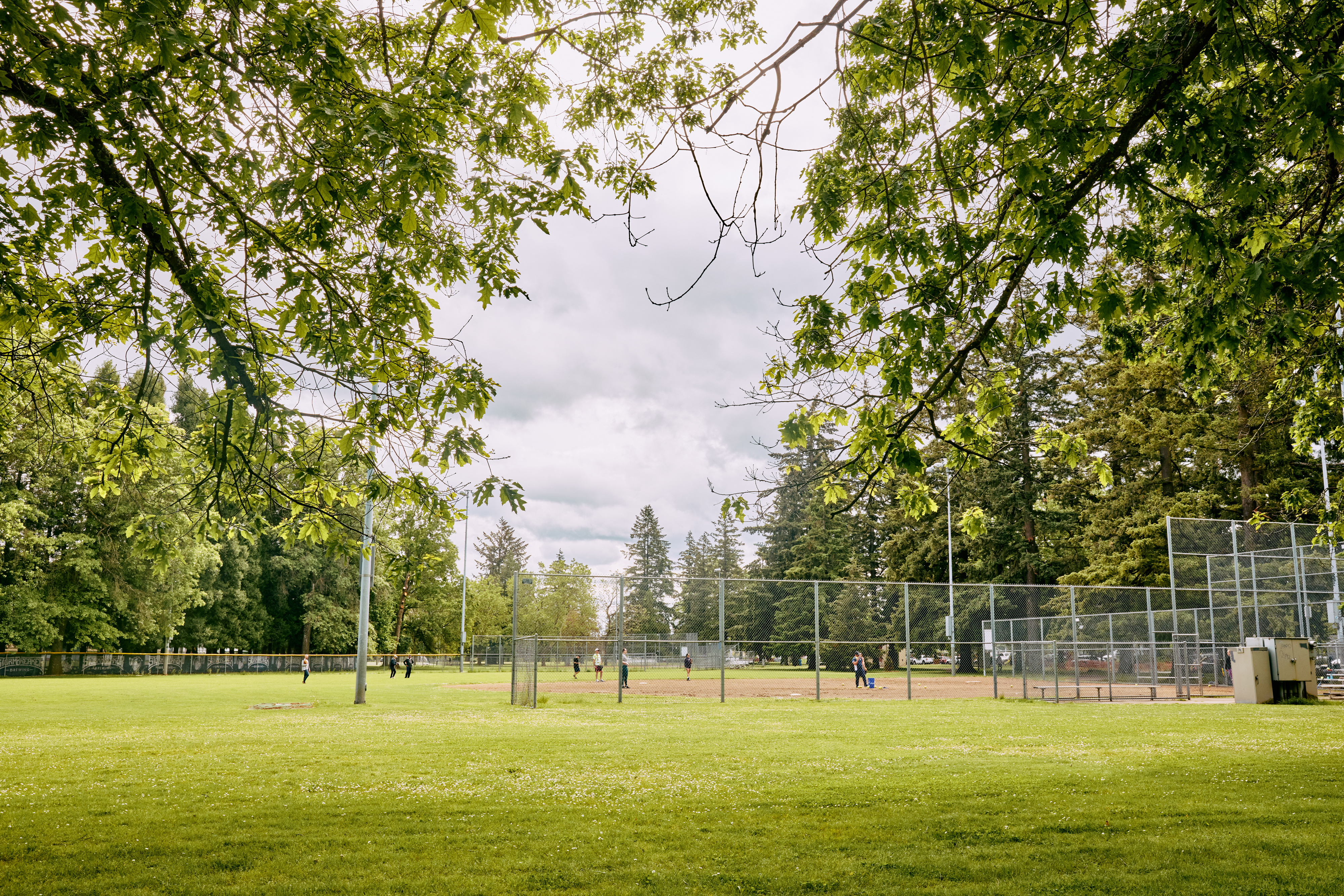 Three City Parks Employees on Equity Team Placed on Leave 