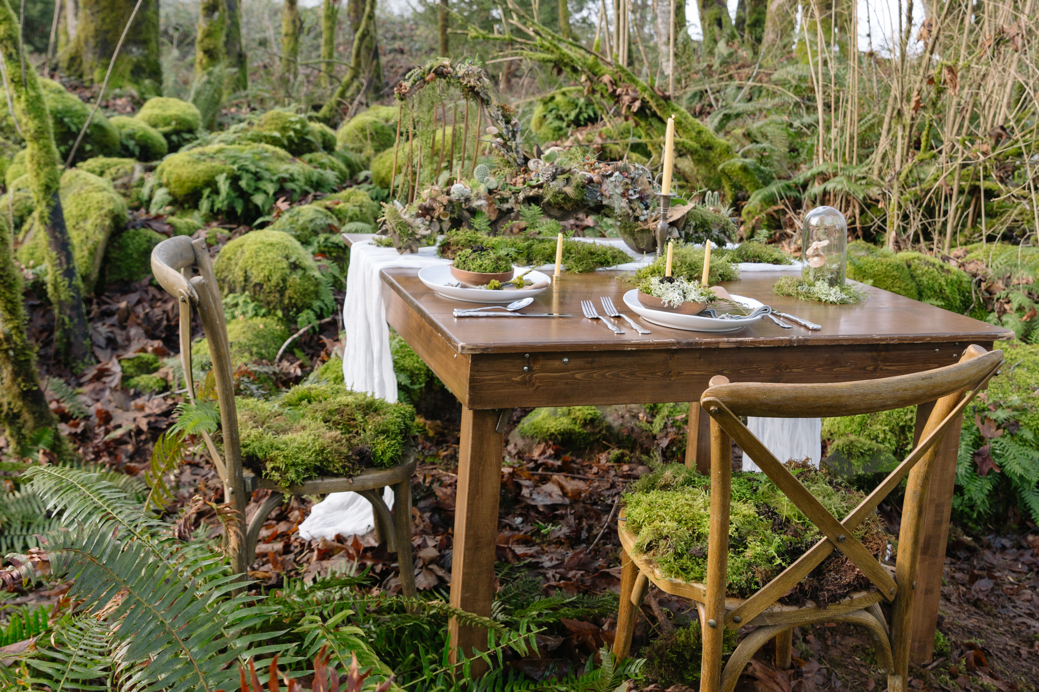 In “Wonder of the Woodlands,” Françoise Weeks Shares Her Gift of